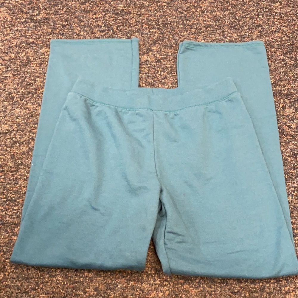 Hanes Teal sweat pants sz. S